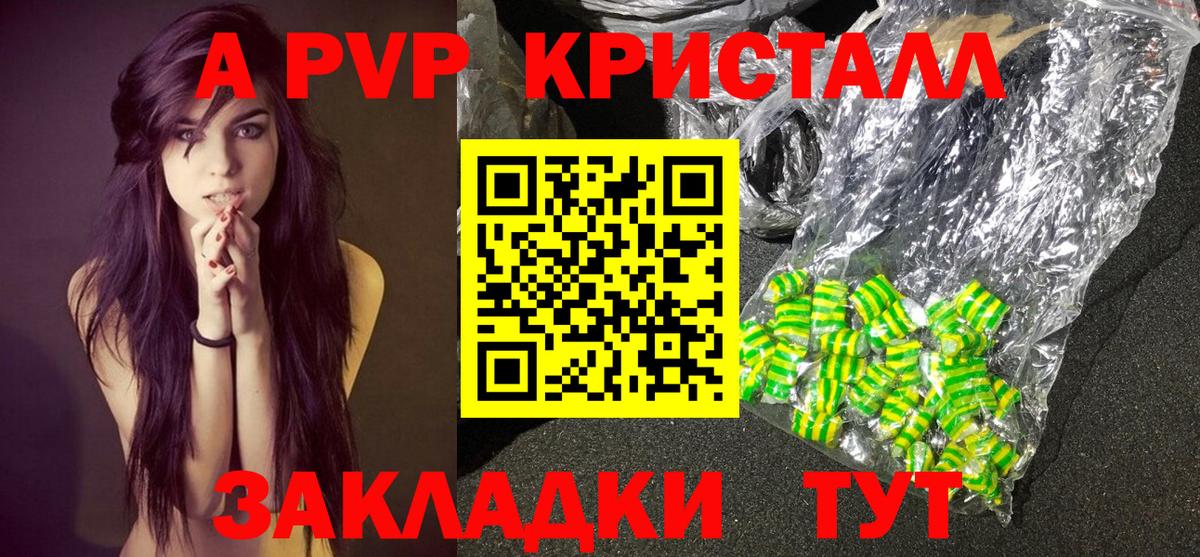 A PVP СК КРИС Фрязино