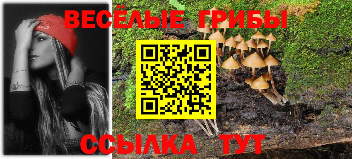 Фрязино  Галлюциногенные грибы мухоморы  закладки  Вход с VPN 