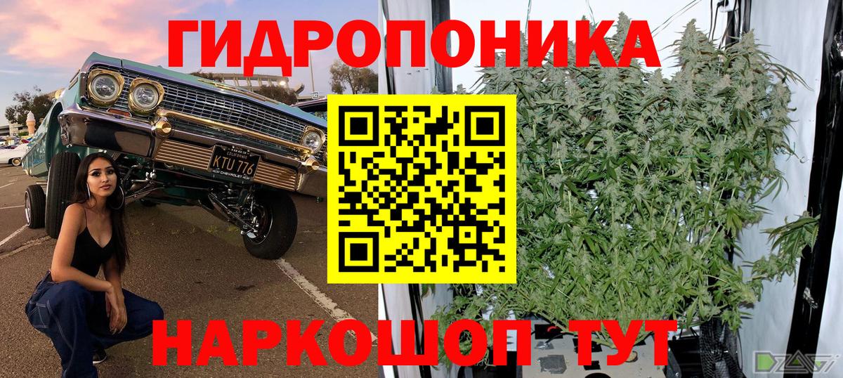 МАРИХУАНА план  Конопля планчик  Фрязино  Бошки Шишки White Widow  Вход с VPN 